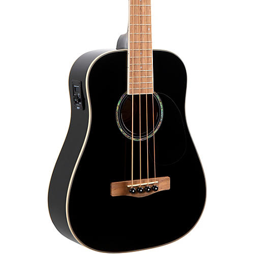 Fretted Acoustic Bass